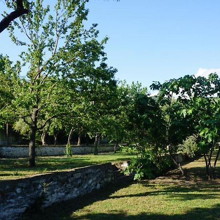 Kavet Palio Cottage PalaiónTsiflíkion Zewnętrze zdjęcie