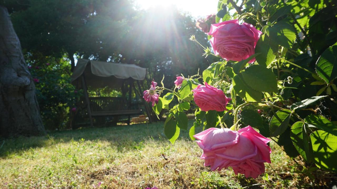Kavet Palio Cottage PalaiónTsiflíkion Zewnętrze zdjęcie