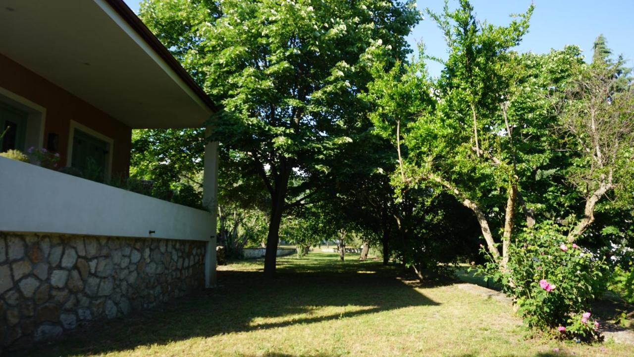 Kavet Palio Cottage PalaiónTsiflíkion Zewnętrze zdjęcie